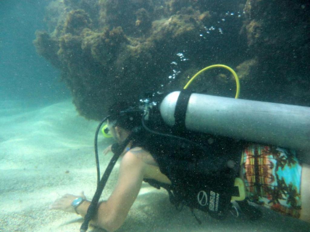 Kitnet Sabrinna Maceió 외부 사진